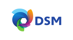 jaapbressers_dsm_eng.png